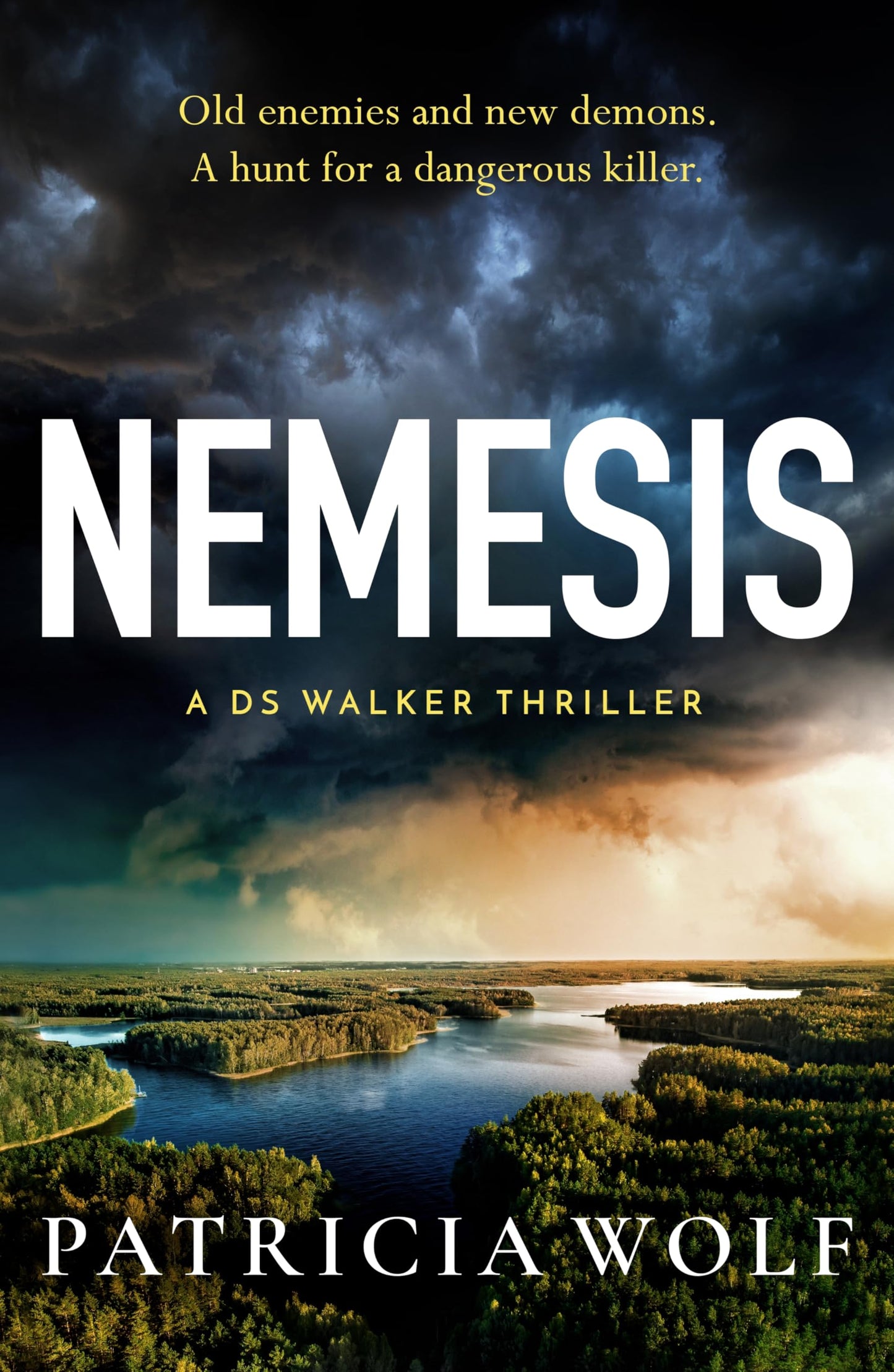 Nemesis: The BRAND NEW unputdownable and gripping thriller for 2025 from the author of OUTBACK