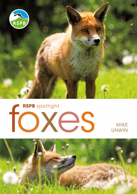 RSPB Spotlight: Foxes - 4200