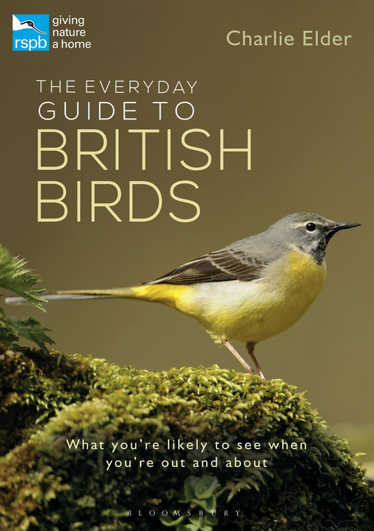 The Everyday Guide to British Birds: Identify our common species and learn more about their lives