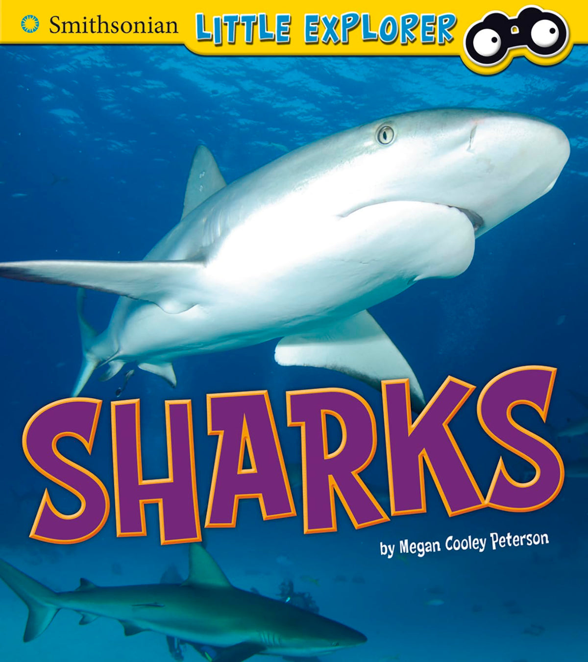 Sharks (Smithsonian Little Explorer)