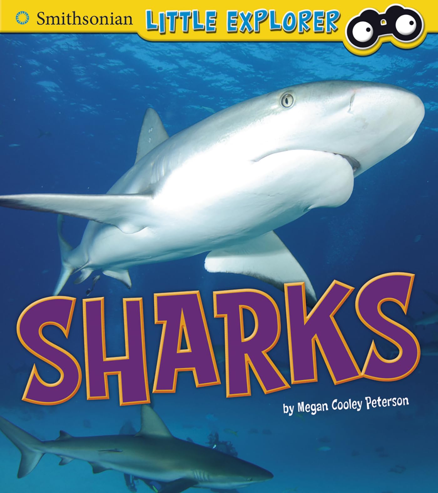 Sharks (Smithsonian Little Explorer)