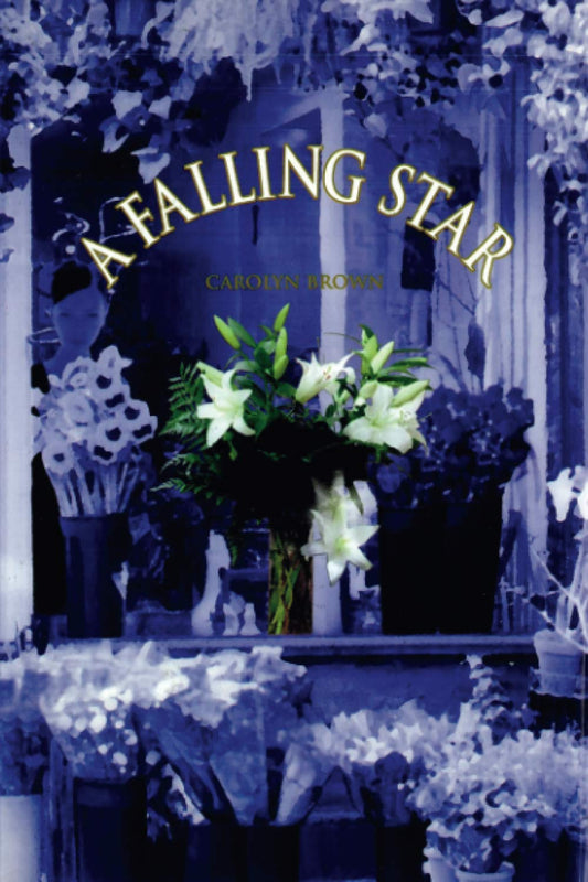 A Falling Star