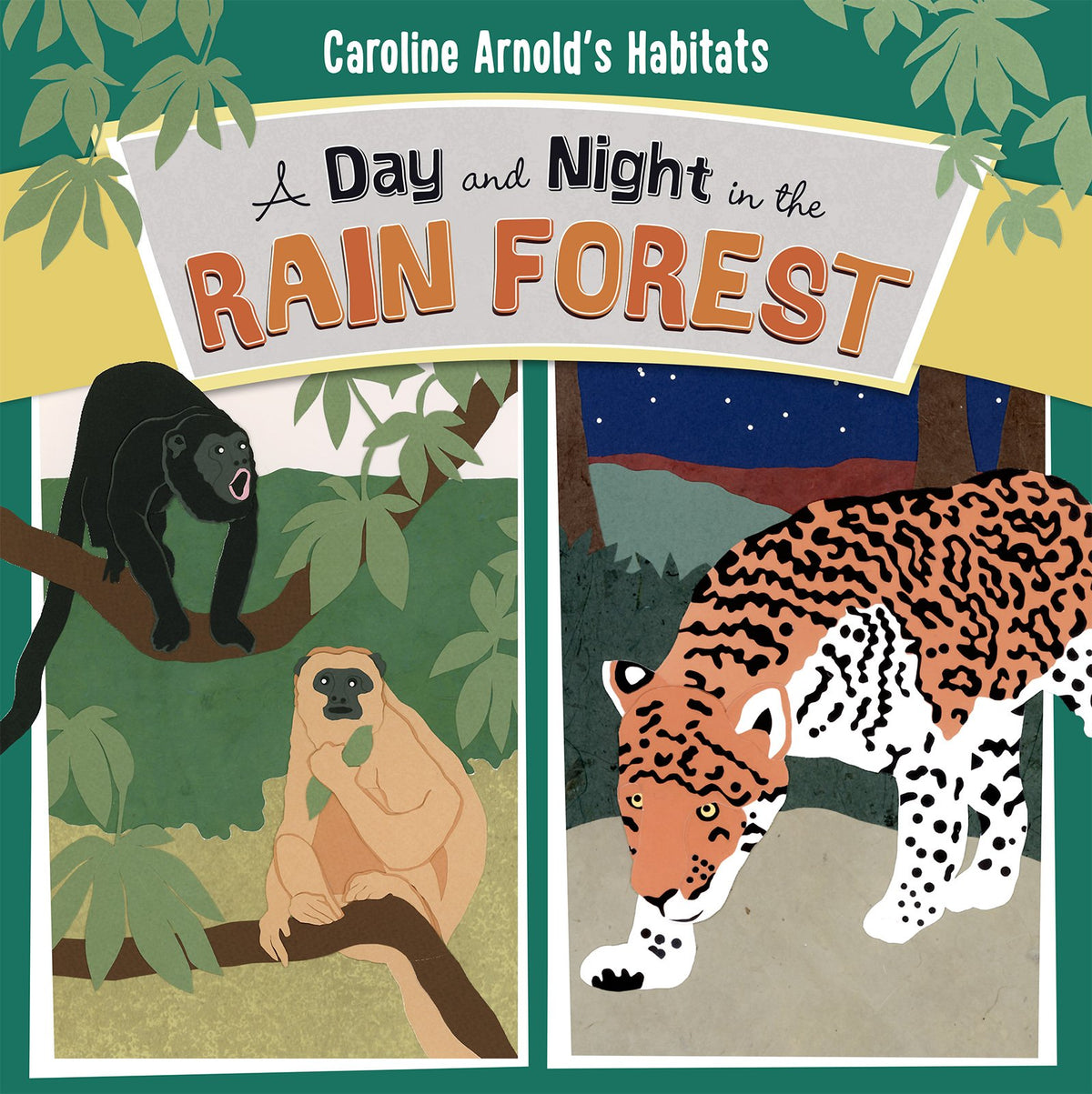 A Day and Night in the Rain Forest (Habitats)