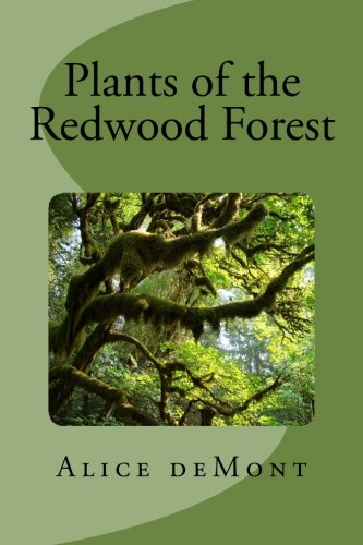 Plants of the Redwood Forest - 8658
