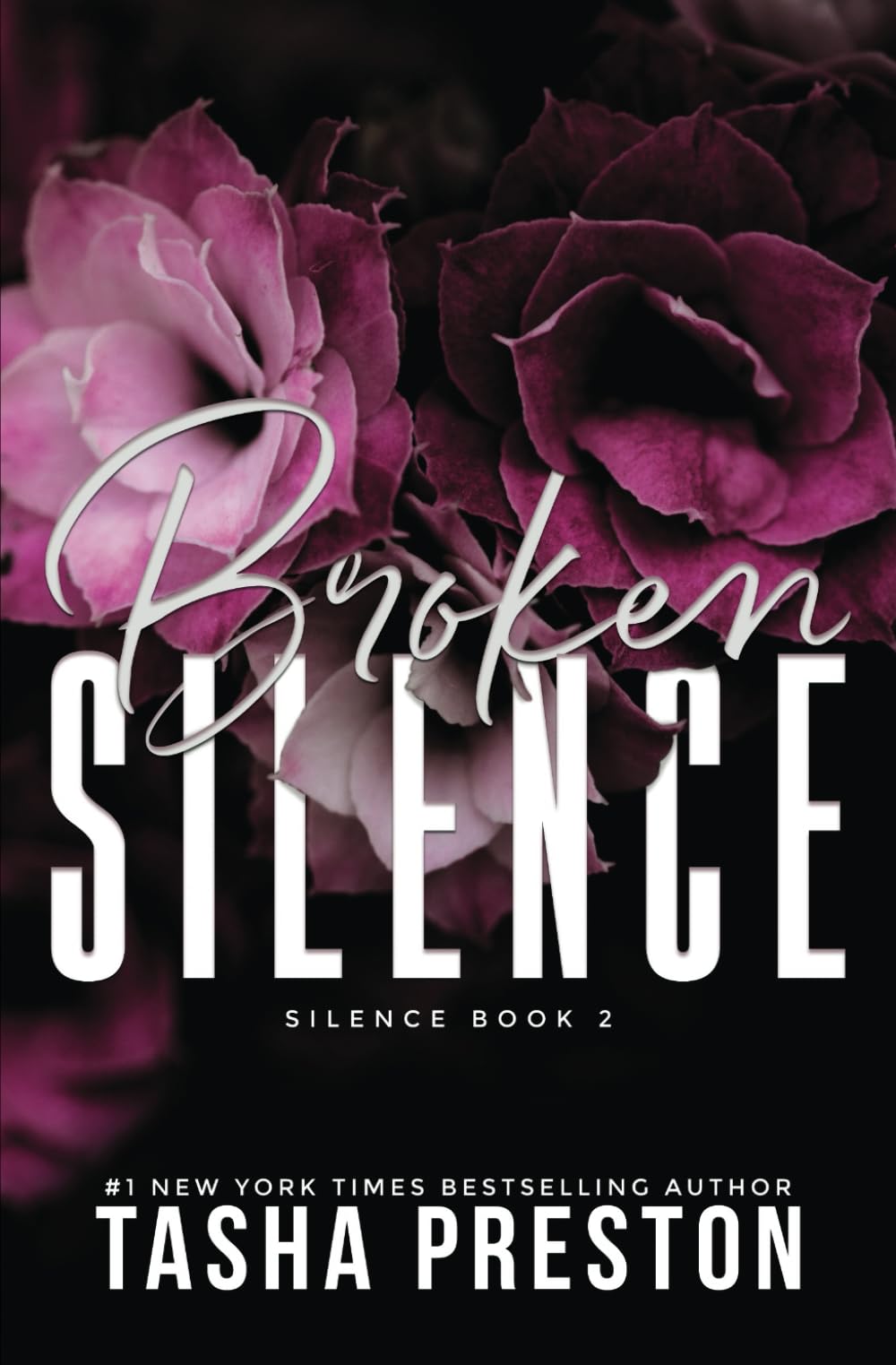 Broken Silence - 1729
