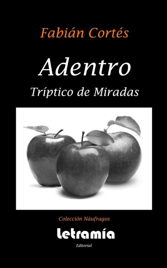 Adentro: Tríptico de miradas (Spanish Edition) - 5038