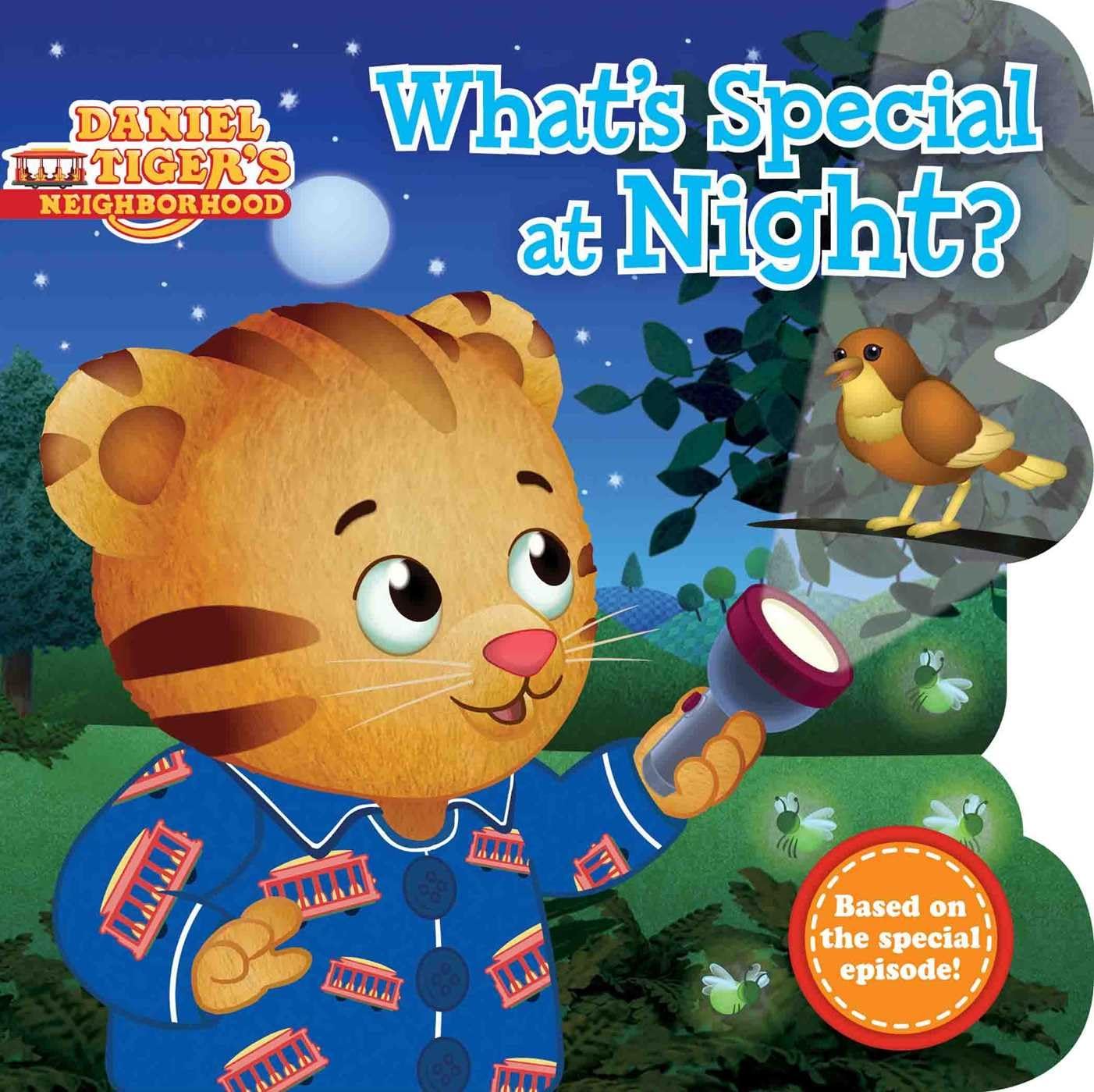 What's Special at Night? (Daniel Tiger's Neighborhood)