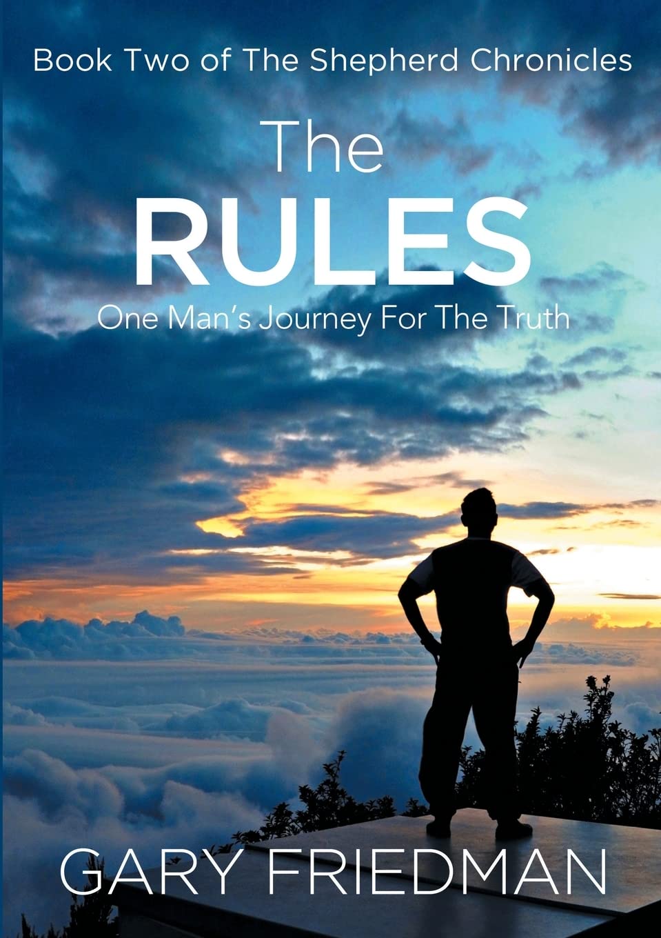 The Rules: Book Two of The Shepherd Chronicles - 8179