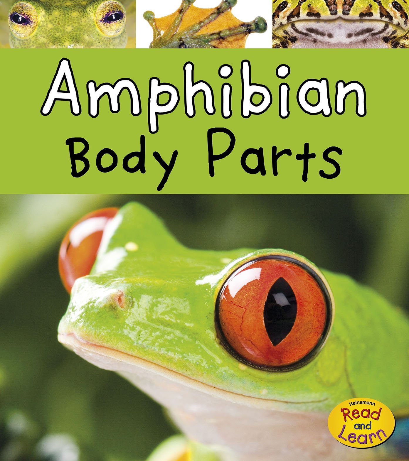 Amphibian Body Parts (Animal Body Parts)