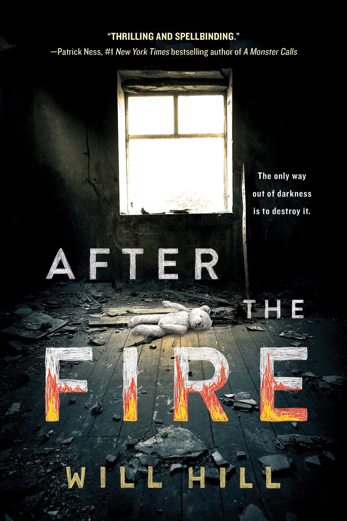 After the Fire: A Cult Thriller