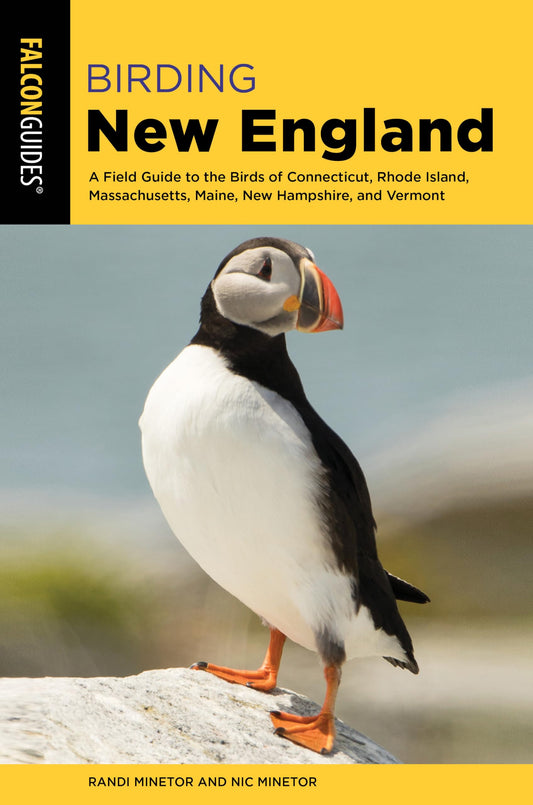 Birding New England (Birding Series)