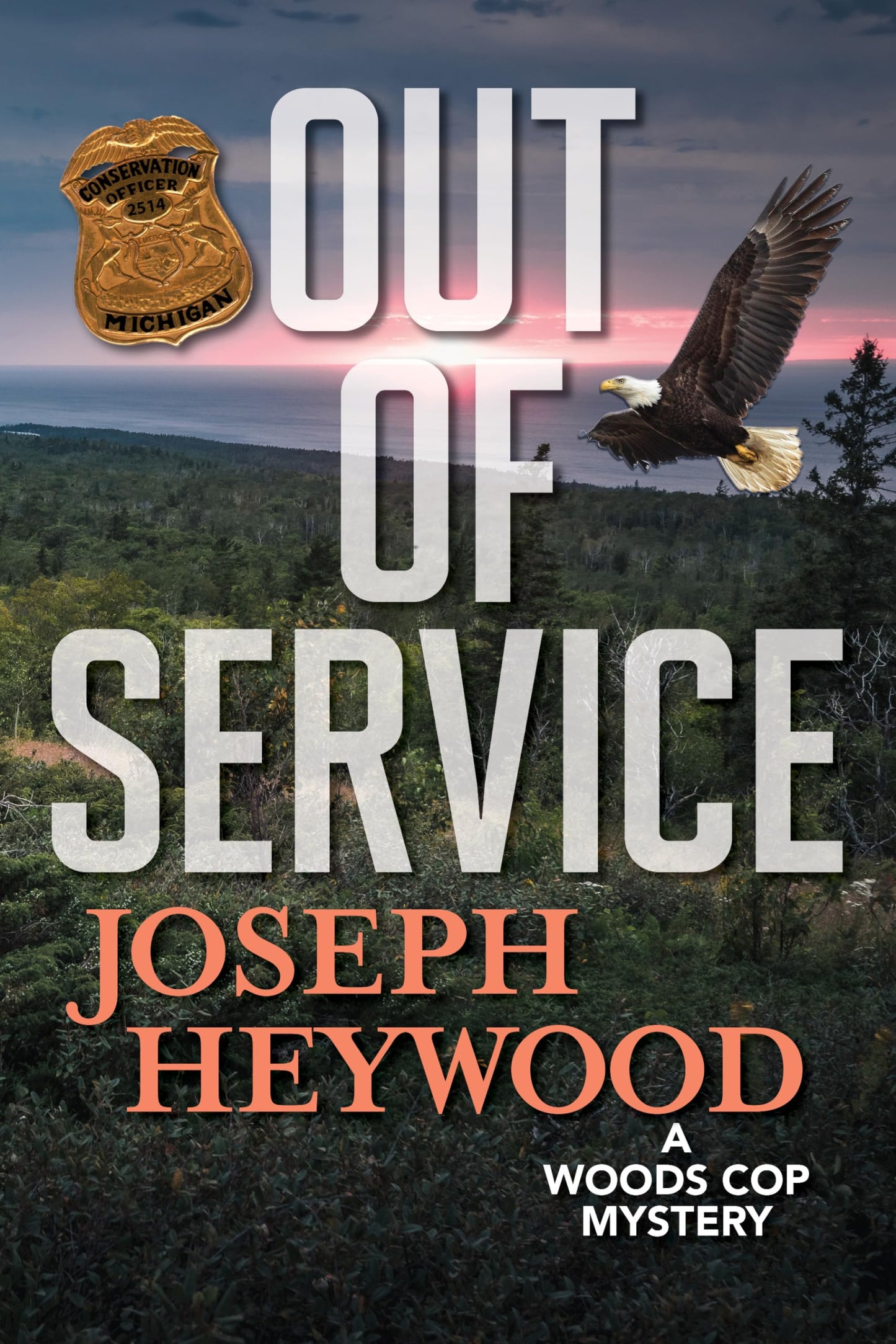 Out of Service (Woods Cop)