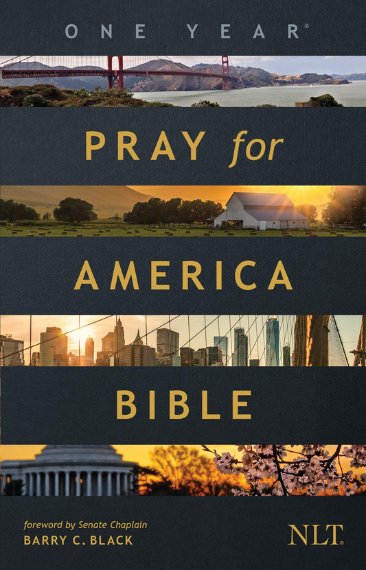 The One Year Pray for America Bible, NLT (Paperback)  Inspirational Daily Bible with Non-Partisan Prayer Prompts