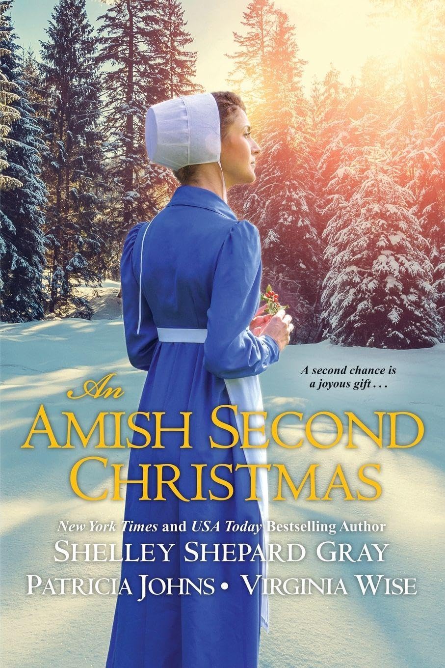 An Amish Second Christmas