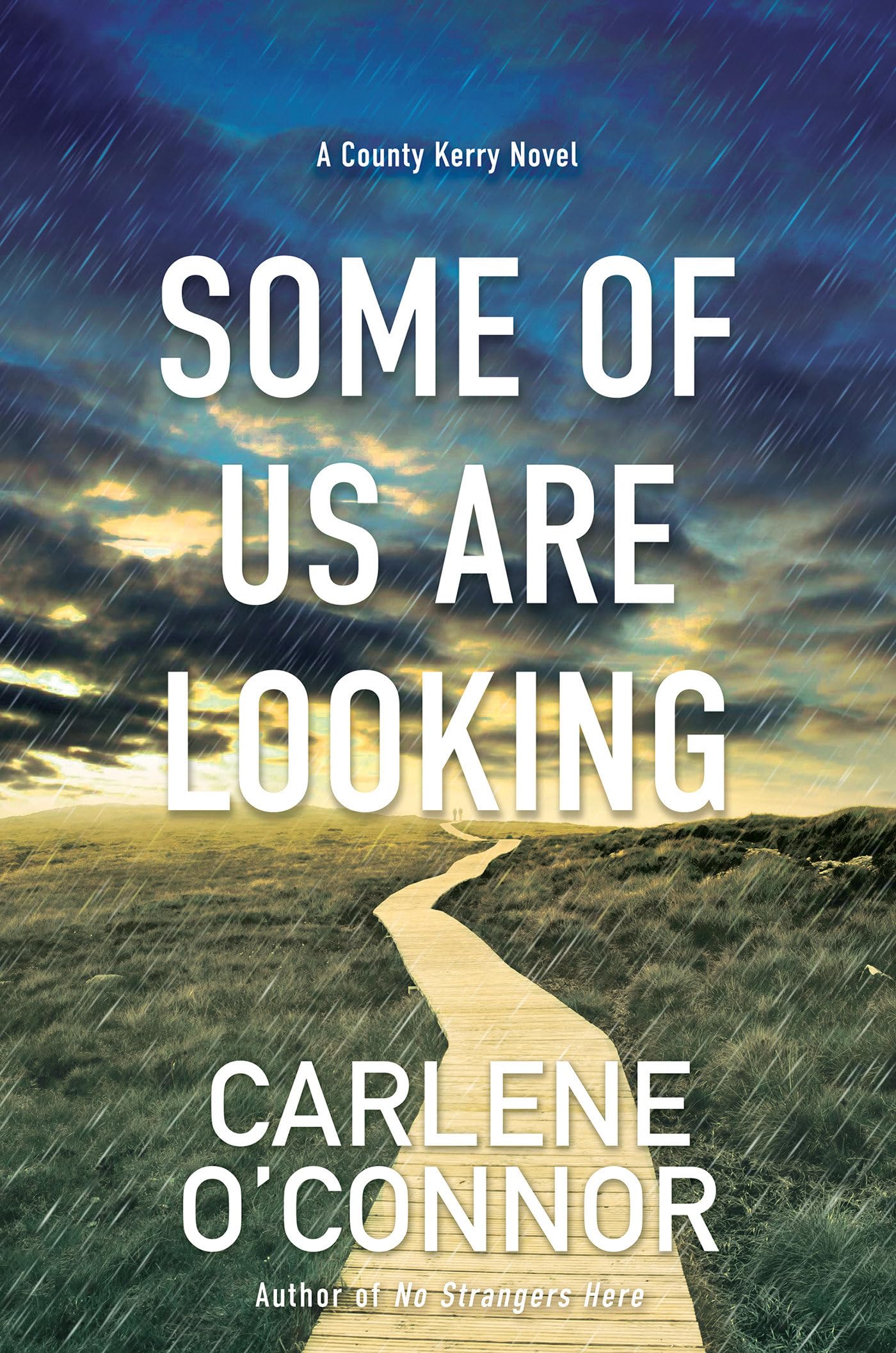 Some of Us Are Looking (A County Kerry Novel) - 291