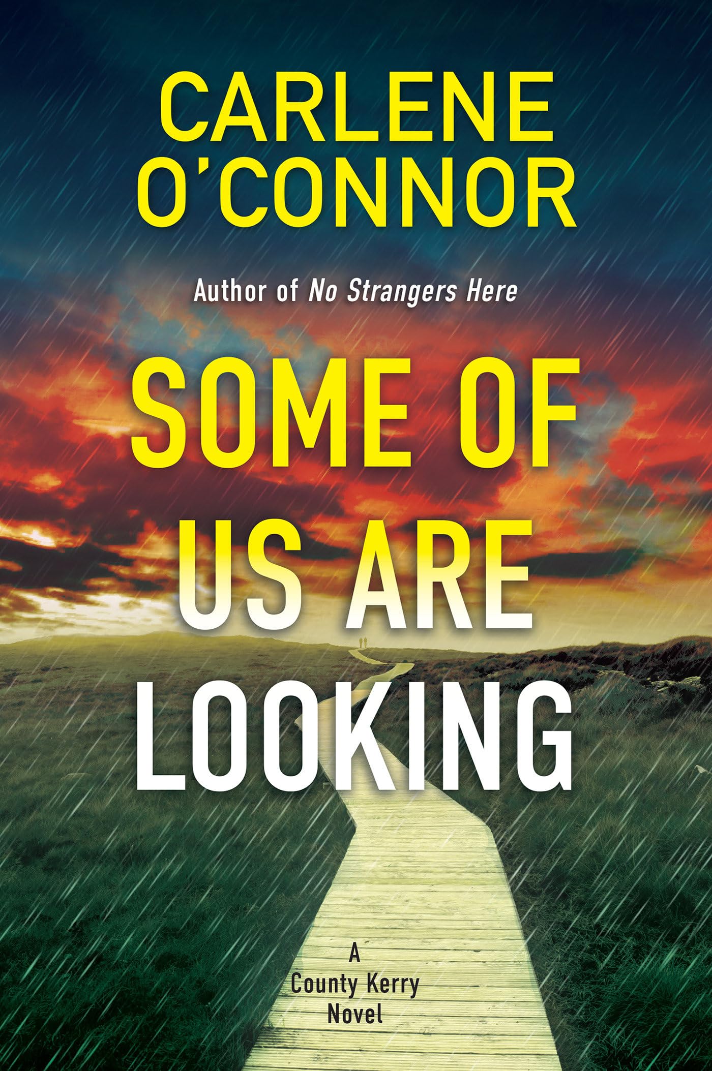 Some of Us Are Looking (A County Kerry Novel)