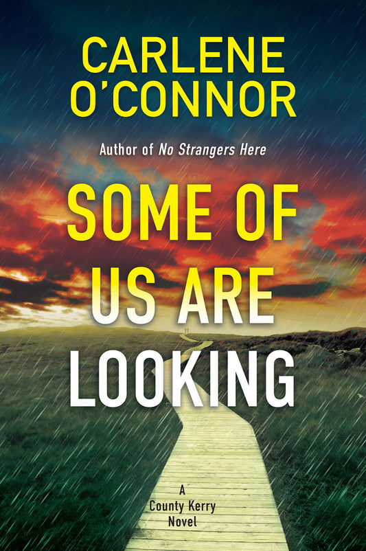 Some of Us Are Looking (A County Kerry Novel)