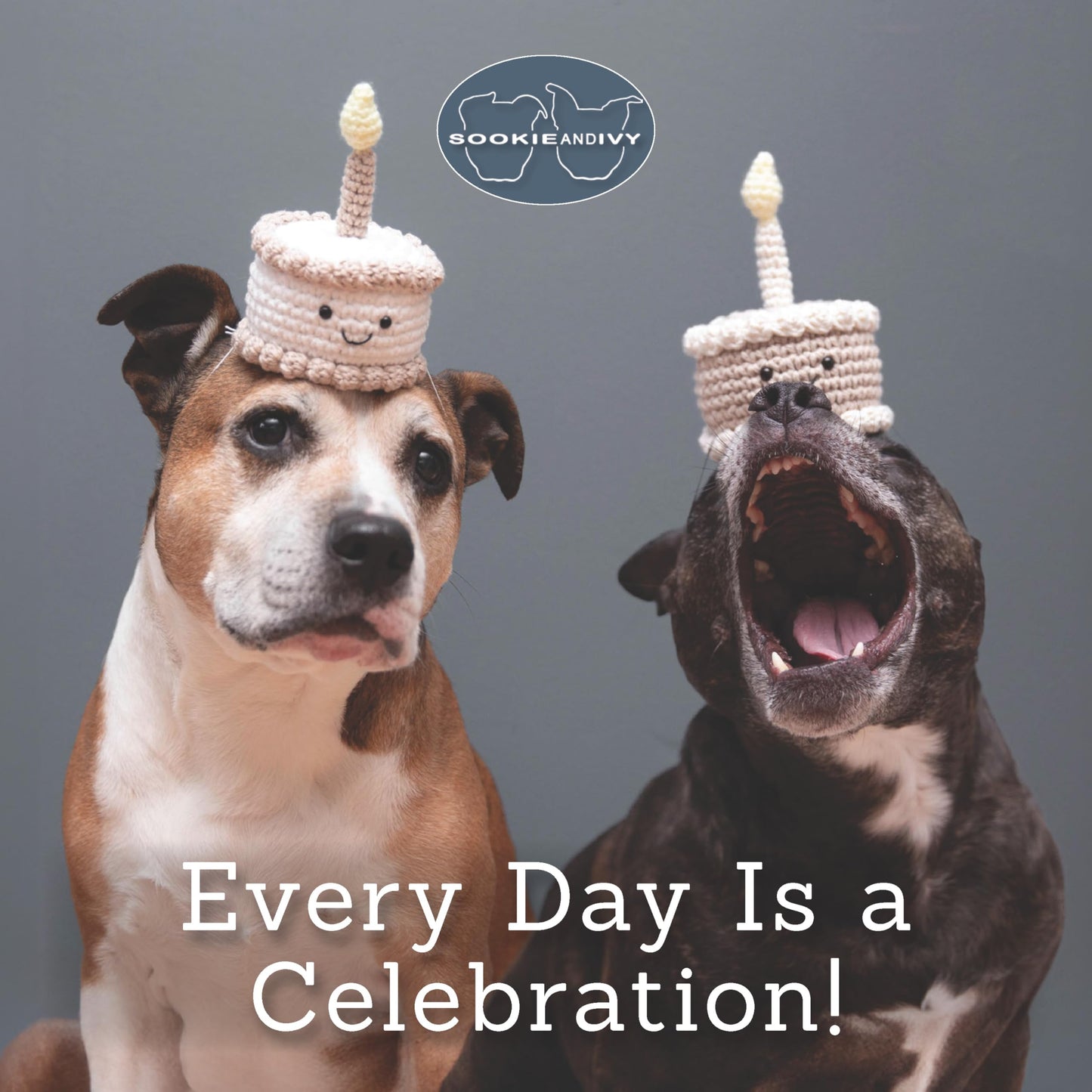 Sookie and Ivy Every Day Is a Celebration (Fox Chapel Publishing) A Beautiful Gift Book Featuring Cute Dog Photos and Uplifting Quotes to Celebrate Life's Special Moments