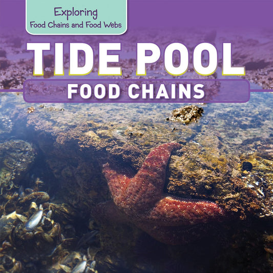 Tide Pool Food Chains (Exploring Food Chains and Food Webs) - 8523