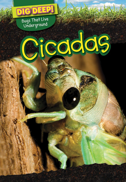 Cicadas (Dig Deep! Bugs That Live Underground)
