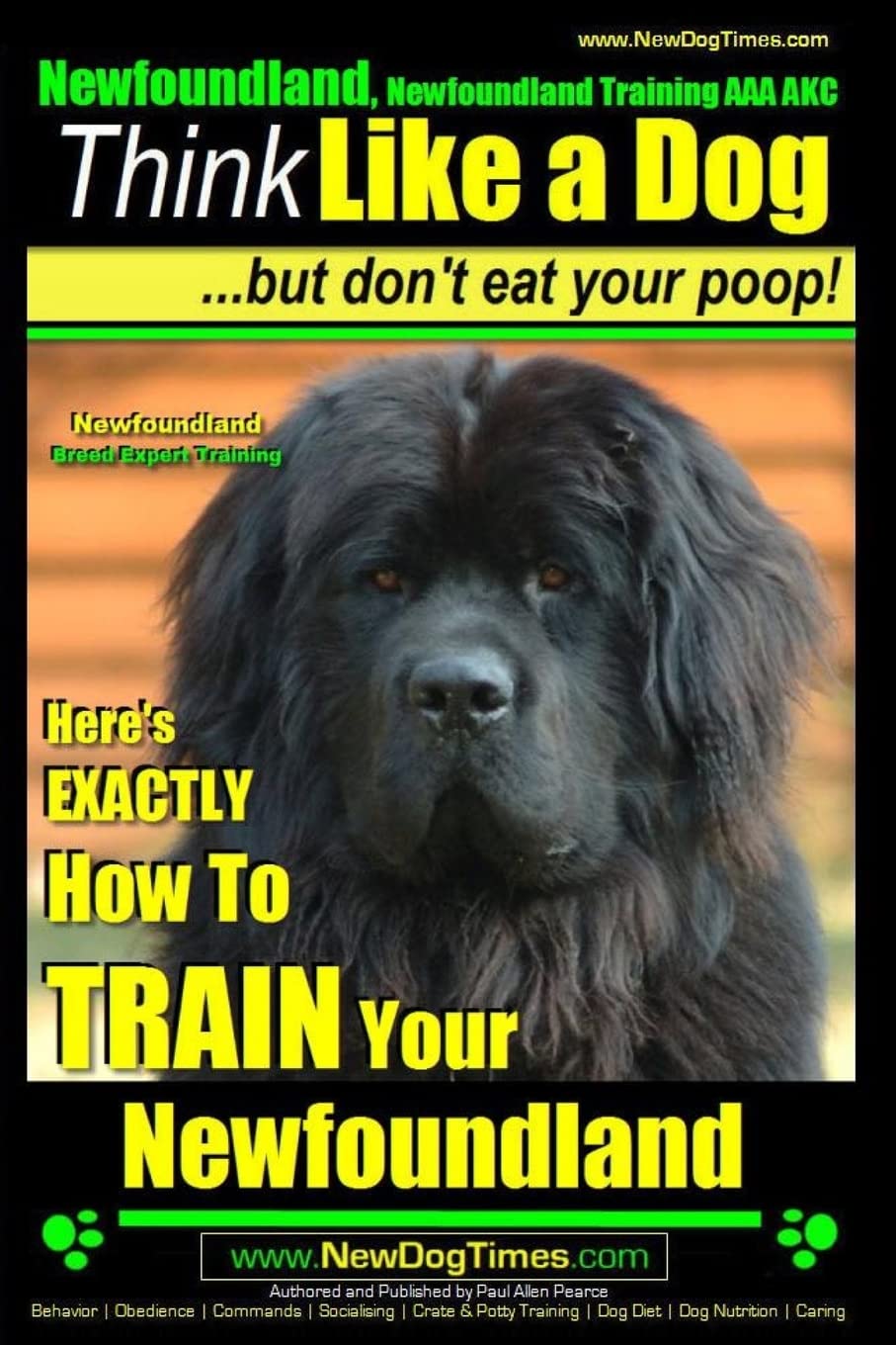 Newfoundland, Newfoundland Training AAA AKC: Think Like a Dog, but Don’t Eat Your Poop! | Newfoundland Breed Expert Training |: Here’s EXACTLY How to Train Your Newfoundland