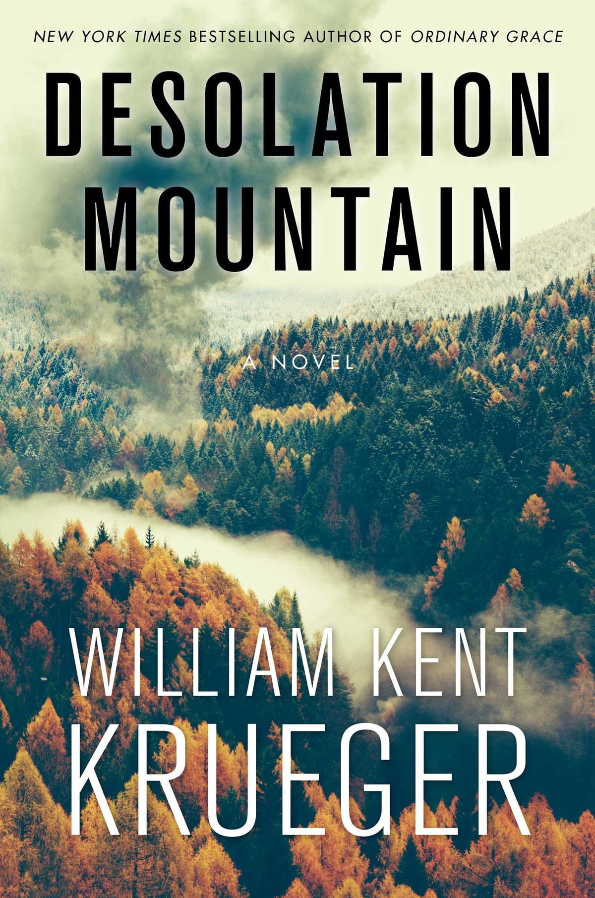 Desolation Mountain: A Novel (17) (Cork O'Connor Mystery Series)