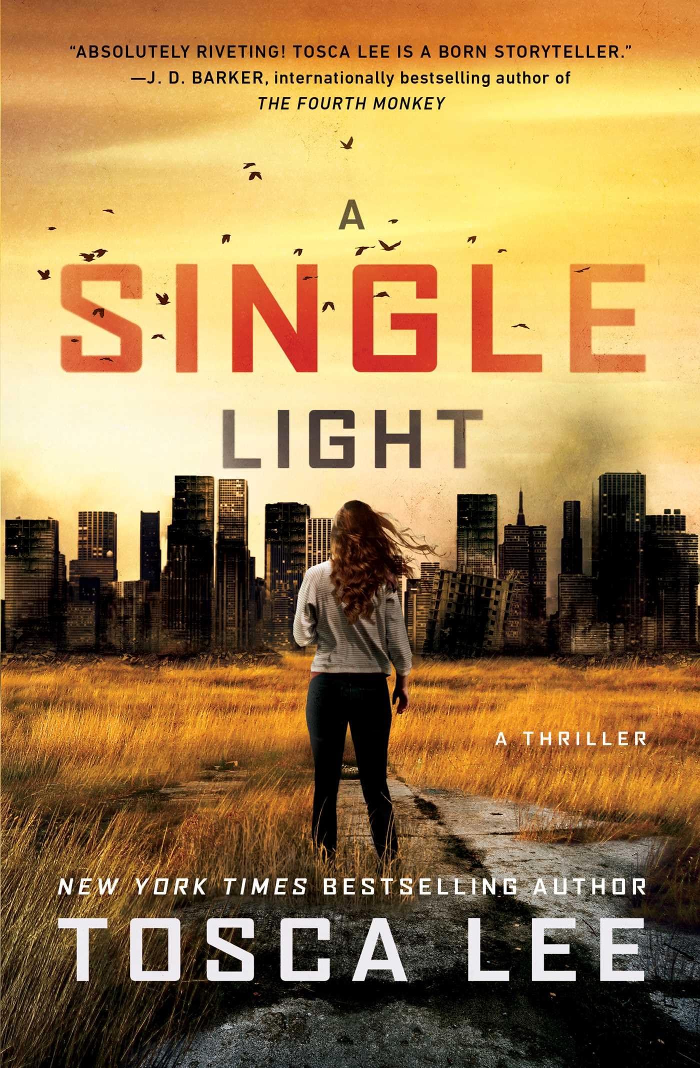 A Single Light: A Thriller (The Line Between)