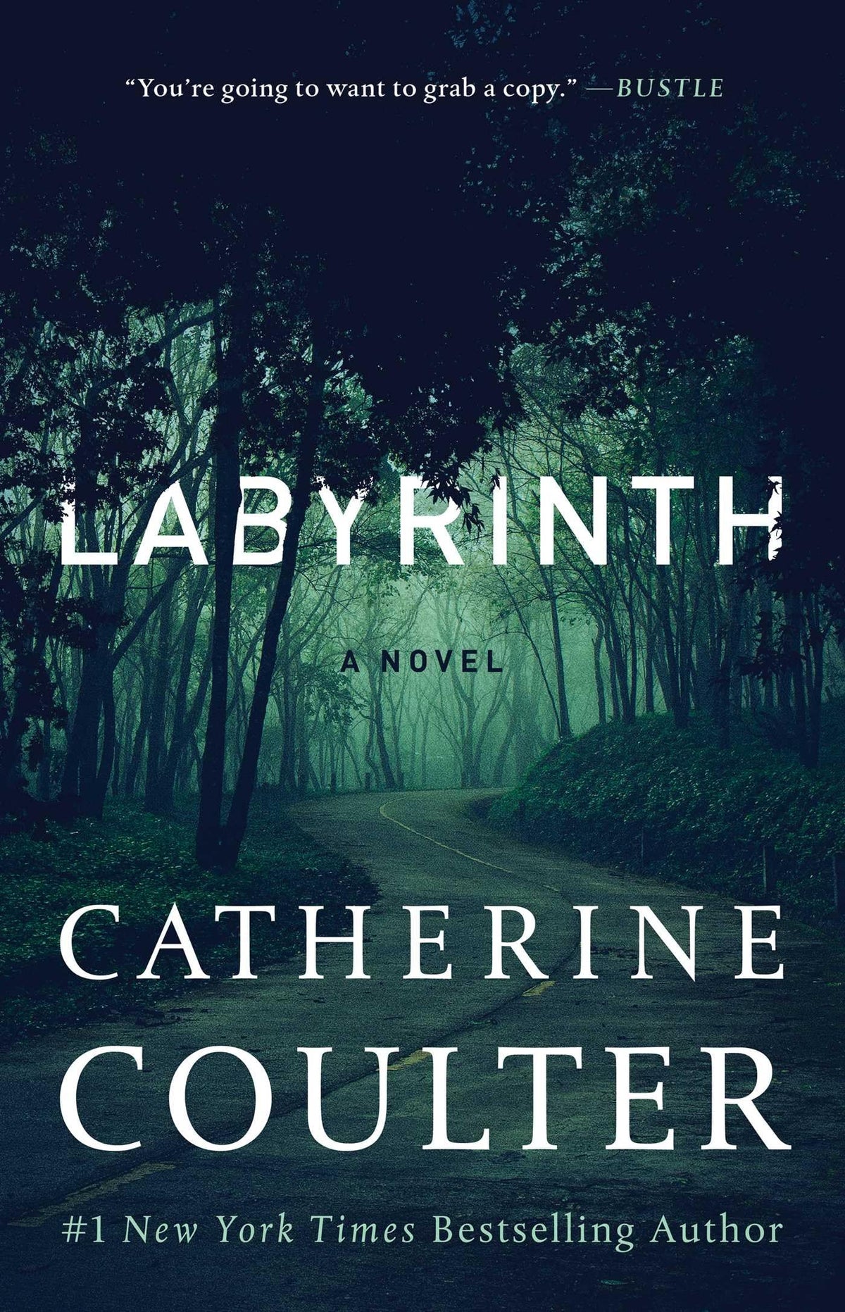 Labyrinth (An FBI Thriller)
