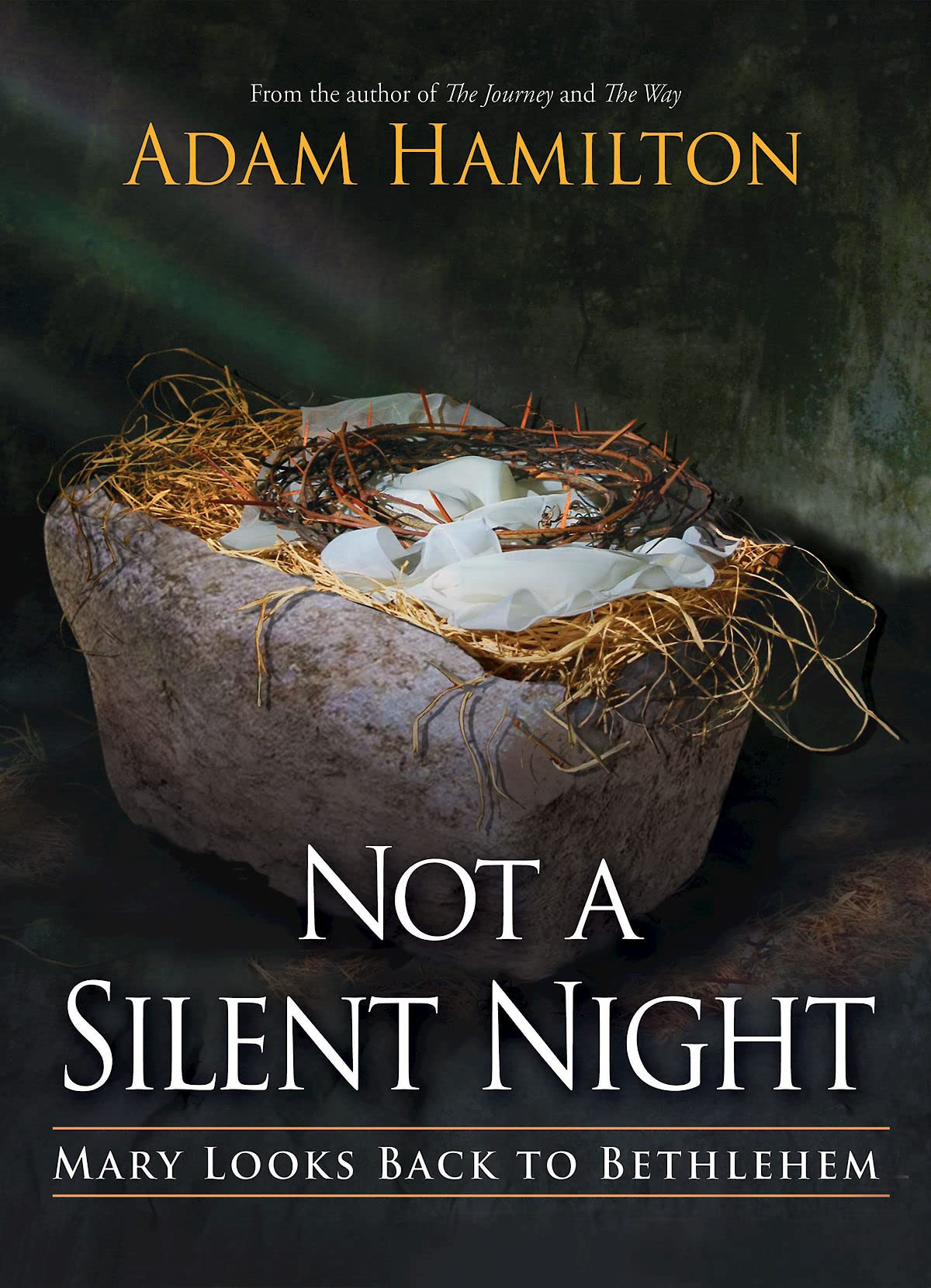 Not a Silent Night: Mary Looks Back to Bethlehem (Not a Silent Night Advent) - 7552