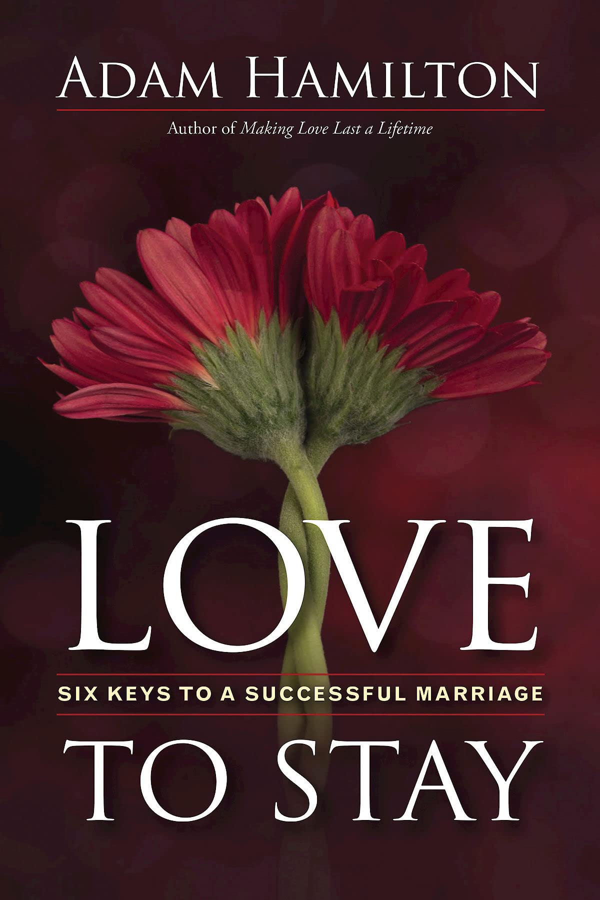 Love to Stay - 6907