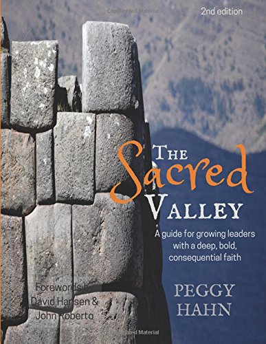 The Sacred Valley: A guide for growing leaders with a deep, bold, consequential faith in Jesus Christ
