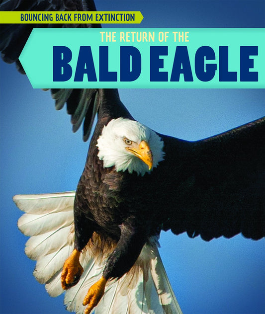 The Return of the Bald Eagle (Bouncing Back from Extinction)