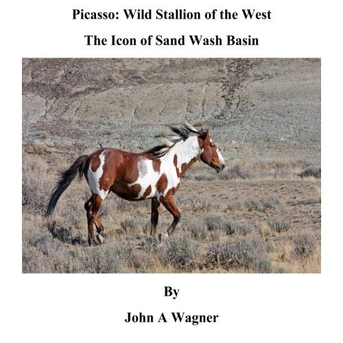 Picasso: Wild Stallion of the West: The Icon of Sand Wash Basin - 7613