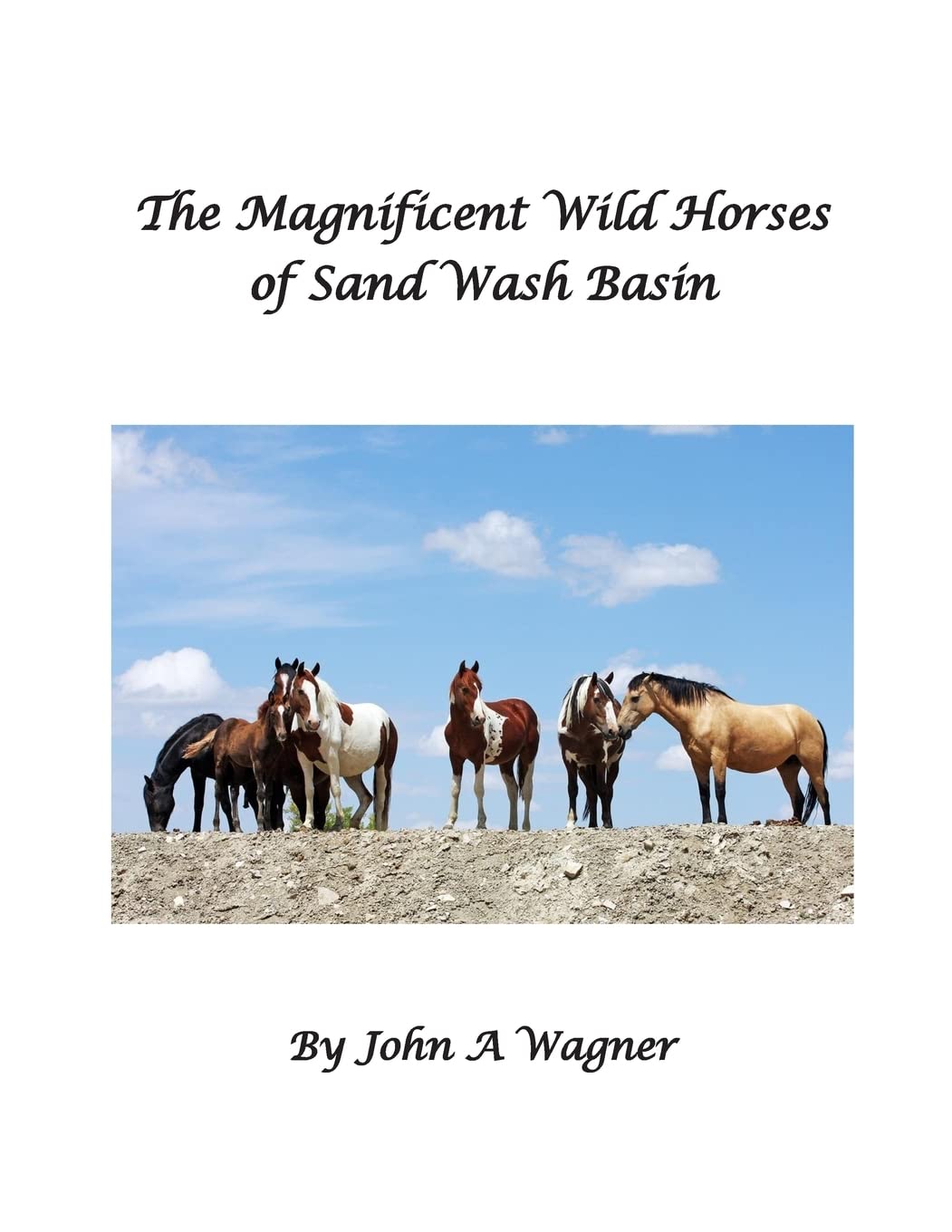 The Magnificent Wild Mustangs Of Sand Wash Basin