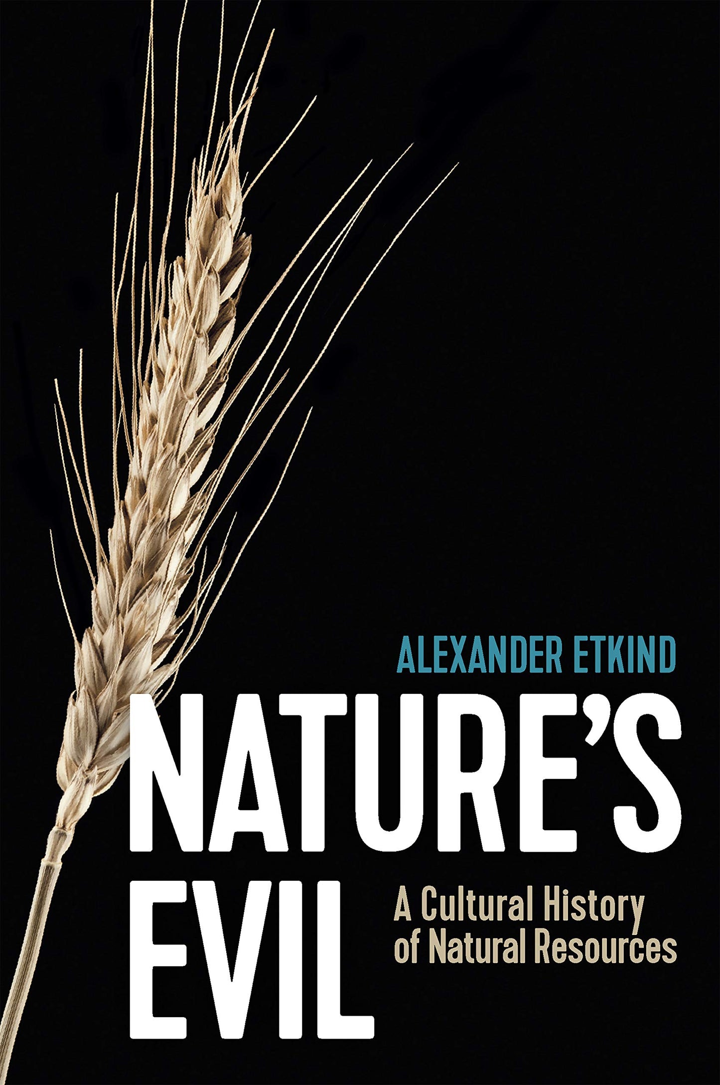 Nature's Evil: A Cultural History of Natural Resources (New Russian Thought)