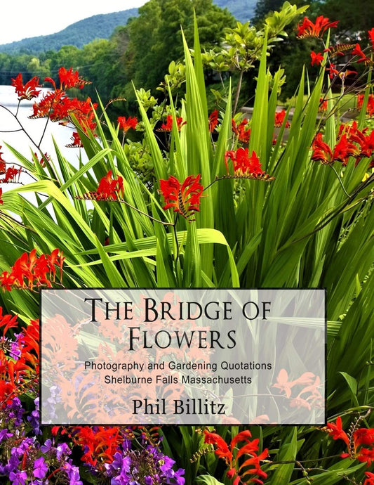 The Bridge of Flowers (Shelburne Falls MA Trilogy) - 9301