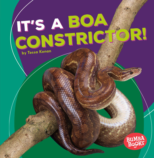 It's a Boa Constrictor! (Bumba Books ® ― Rain Forest Animals)