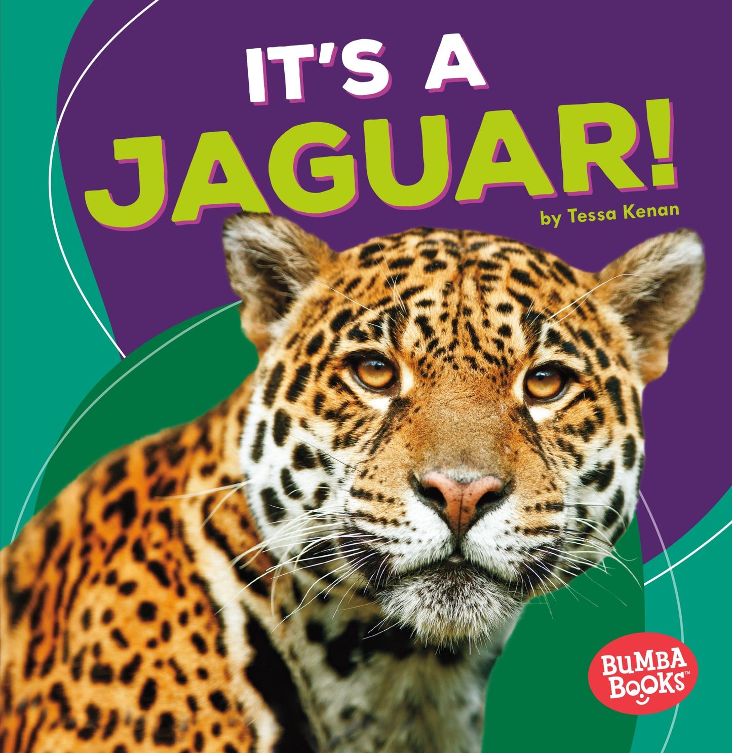 It's a Jaguar! (Bumba Books ® ― Rain Forest Animals)