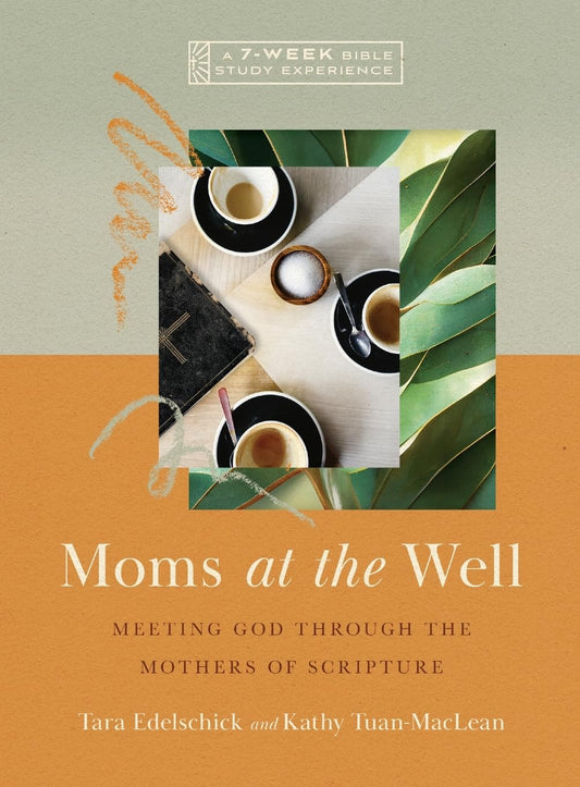 Moms at the Well: Meeting God Through the Mothers of Scripture―A 7-Week Bible Study with Video Access (IVP Bible Study Experience)