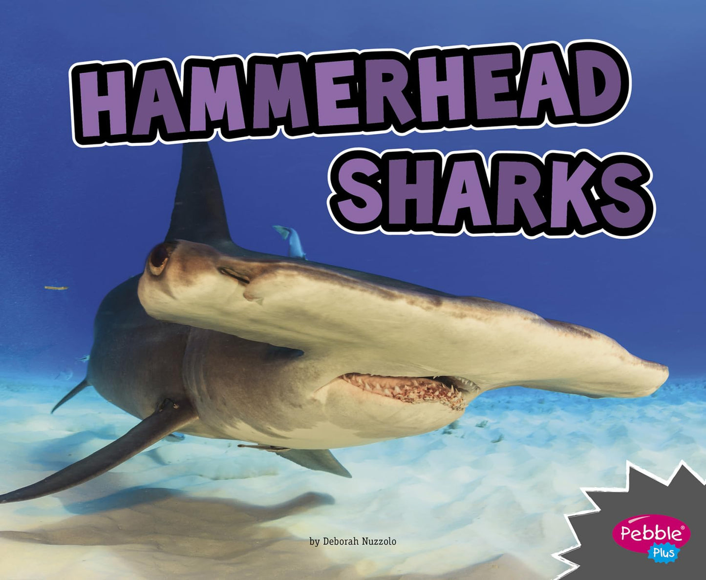 Hammerhead Sharks (All About Sharks)