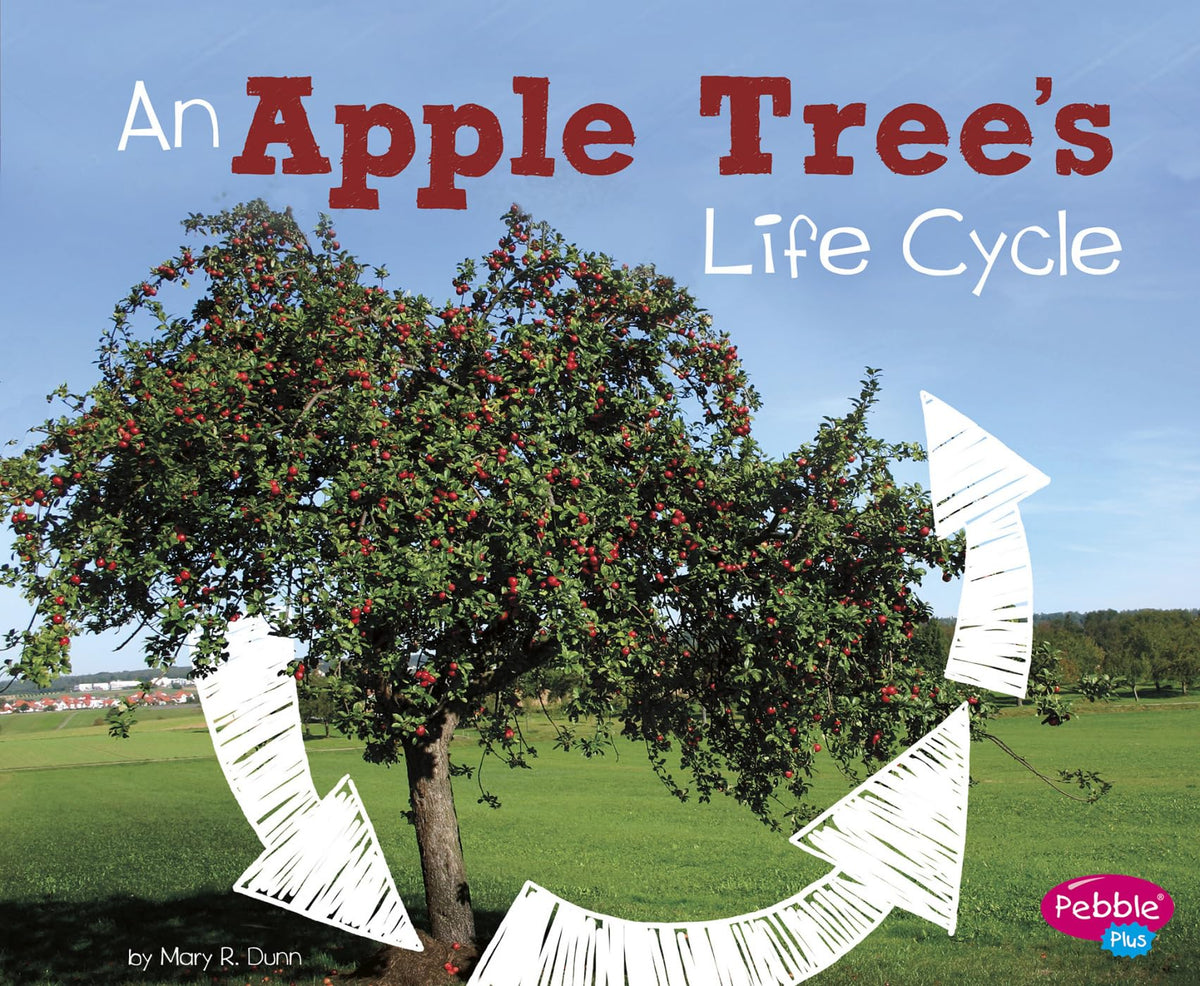An Apple Tree's Life Cycle (Explore Life Cycles)
