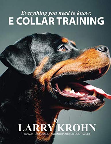 Everything you need to know about E Collar Training - 2529
