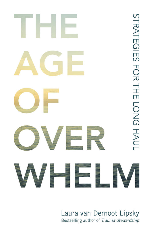The Age of Overwhelm: Strategies for the Long Haul - 8531