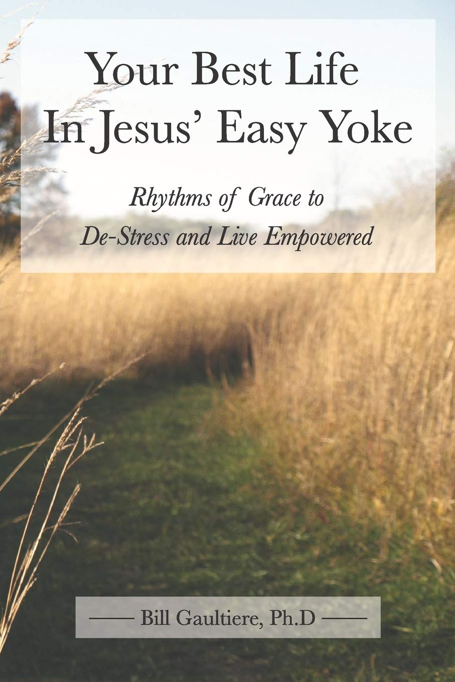 Your Best Life In Jesus' Easy Yoke: Rhythms of Grace to De-Stress and Live Empowered - 8117