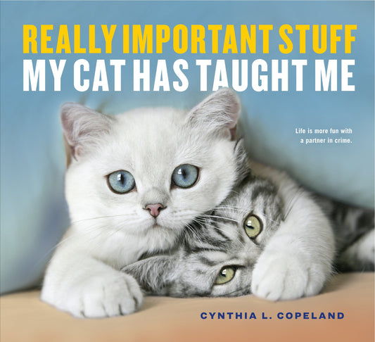 Really Important Stuff My Cat Has Taught Me - 3659
