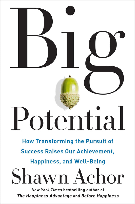 Big Potential: How Transforming the Pursuit of Success Raises Our Achievement, Happiness, and Well-Being - 6405