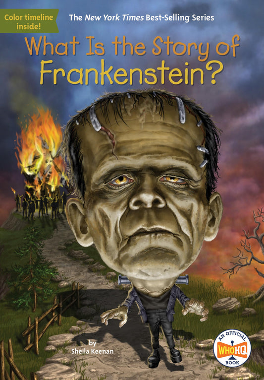 What Is the Story of Frankenstein? - 2373