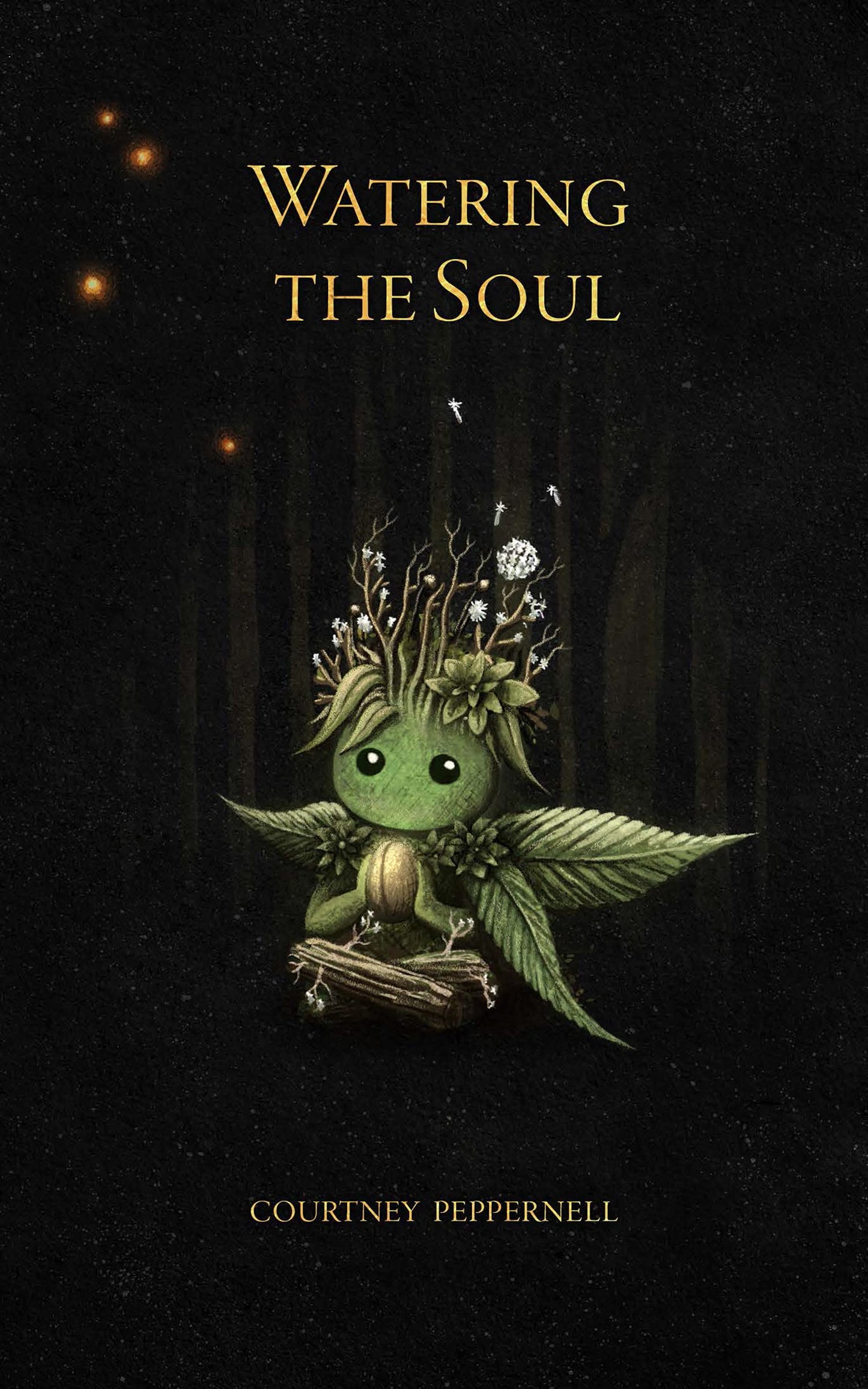 Watering the Soul - 8621