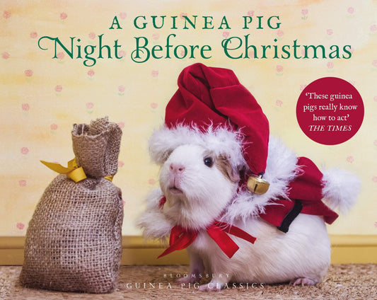 A Guinea Pig Night Before Christmas (Guinea Pig Classics) - 4448
