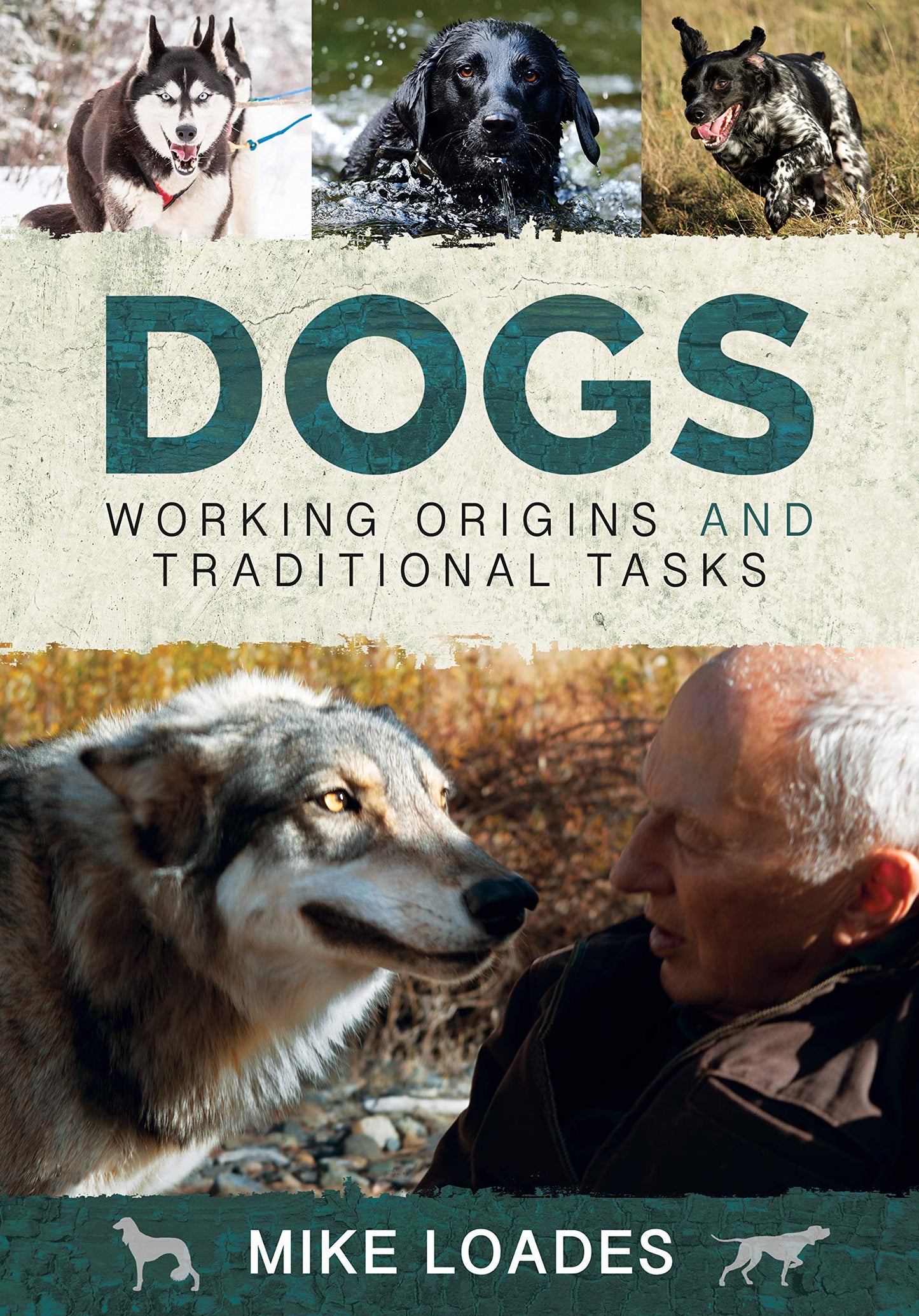 Dogs: Working Origins and Traditional Tasks